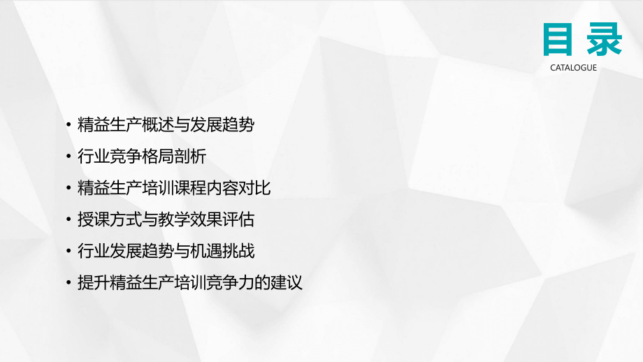 2025年精益生产培训行业竞争格局分析.pptx_第2页