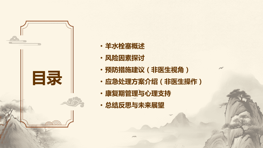 2025年羊水栓塞：风险因素与预防措施.pptx_第2页