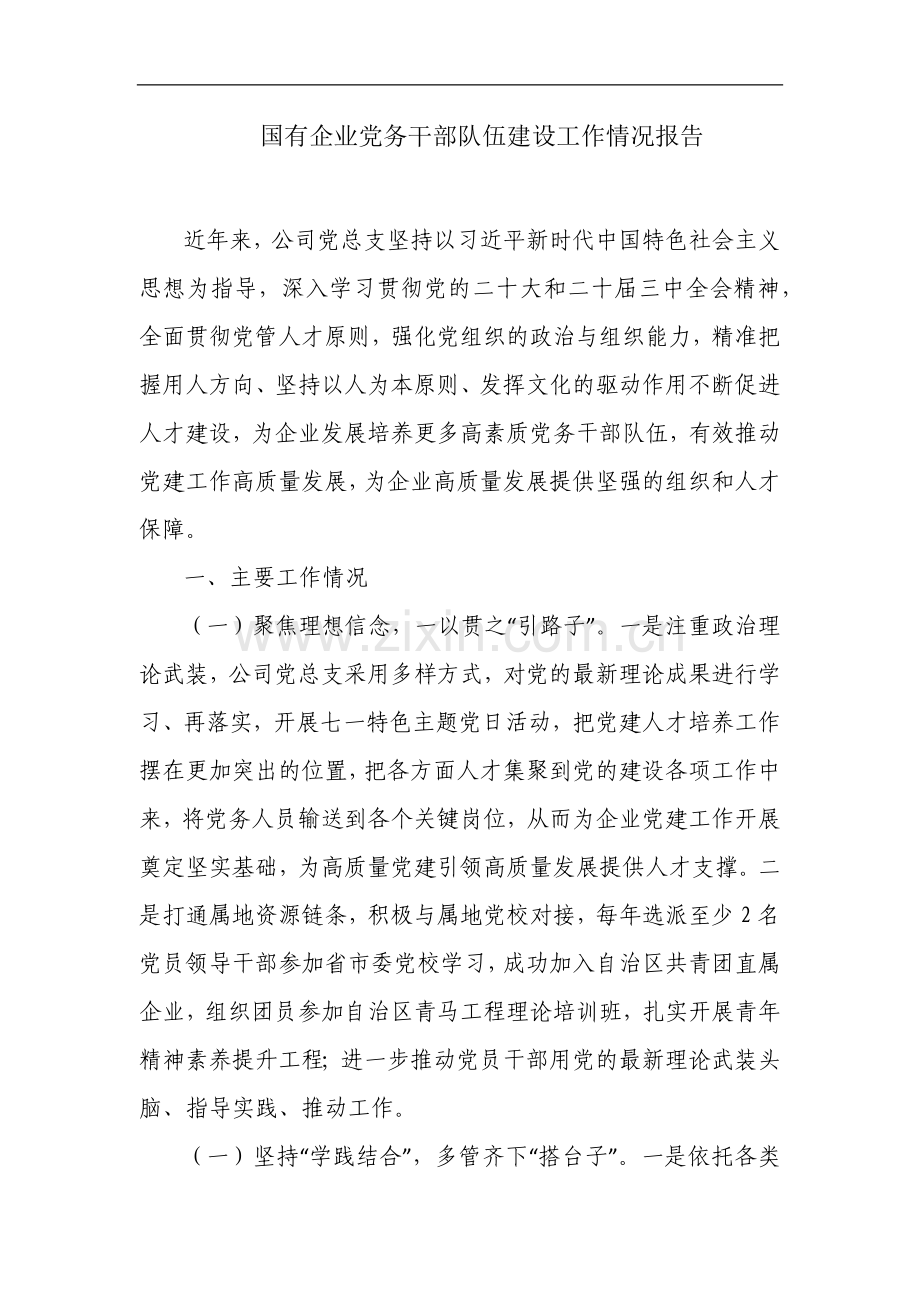 国有企业党务干部队伍建设工作情况报告.docx_第1页