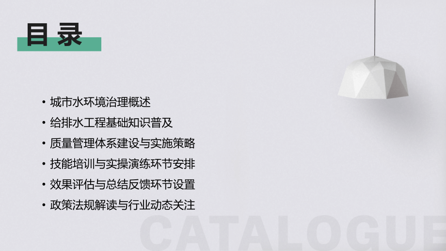 城市水环境治理与给排水工程质量提升培训班（2025年）.pptx_第2页