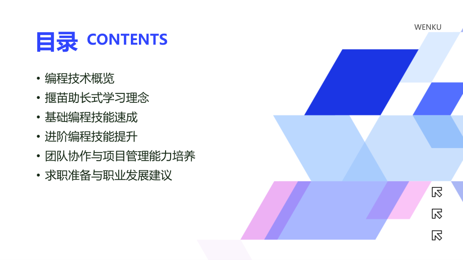 2025年编程技术：揠苗助长式学习公开课.pptx_第2页