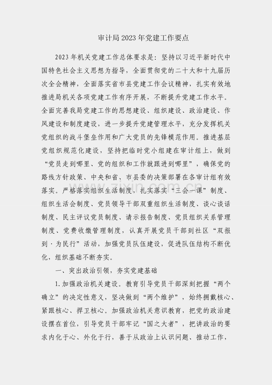 县审计局2023年党建工作要点.docx_第1页