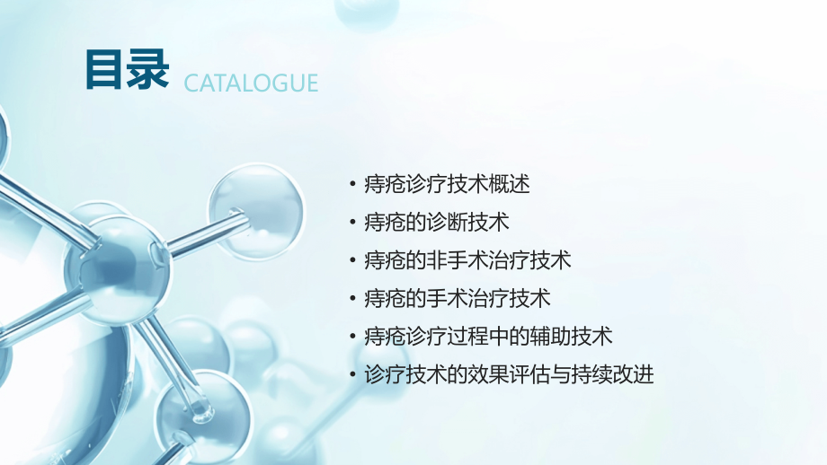 2025年痔疮专科医院诊疗技术汇编.pptx_第2页