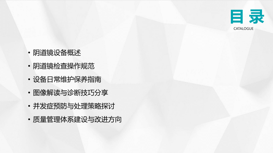 2025版阴道镜使用与维护全面培训.pptx_第2页