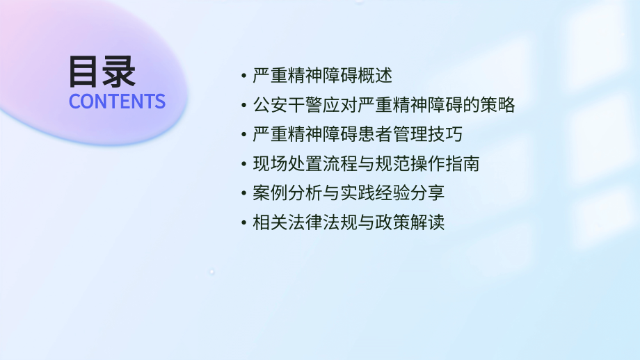 针对公安干警的2025年严重精神障碍培训课件.pptx_第2页