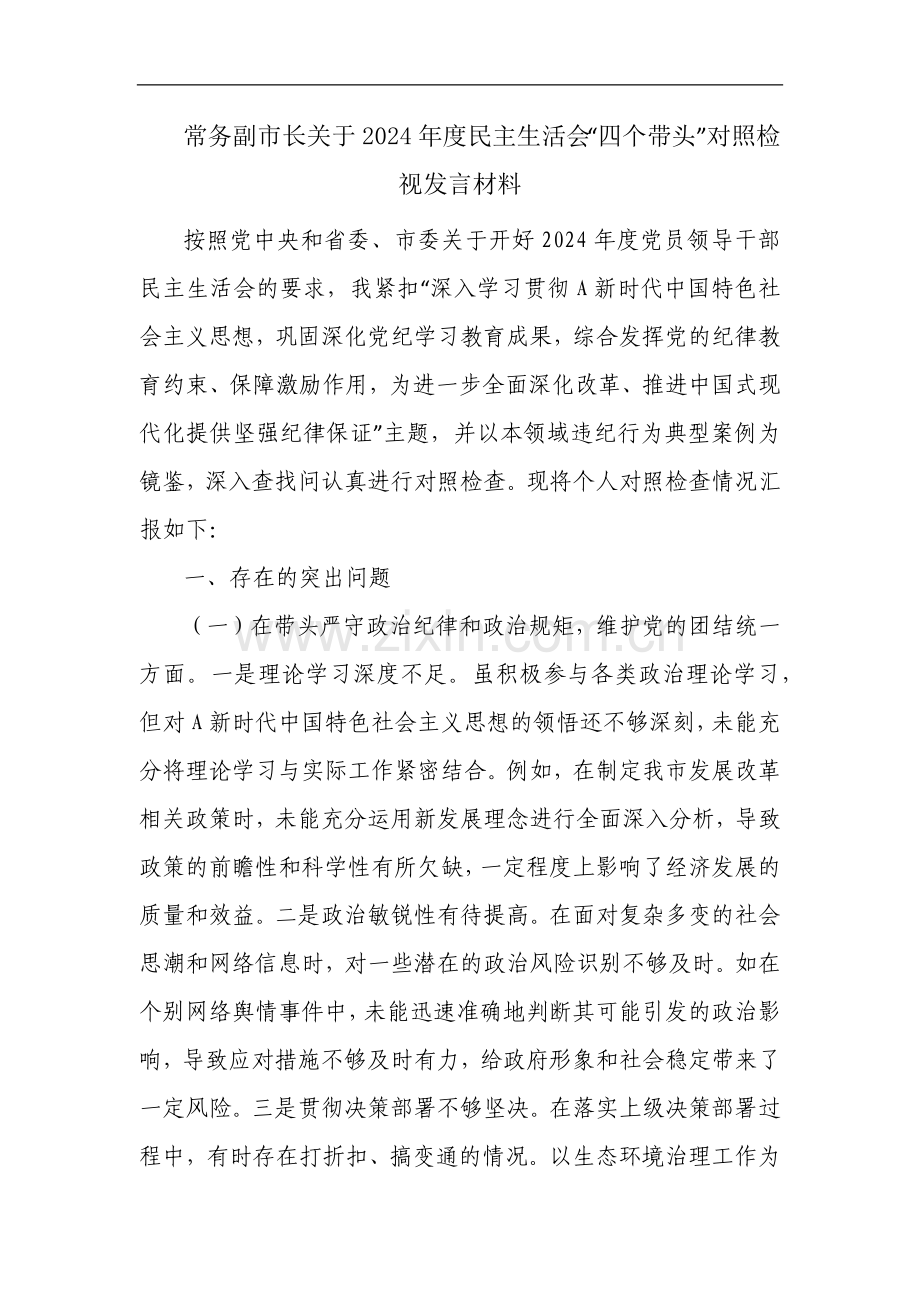 常务副市长关于2024年度民主生活会“四个带头”对照检视发言材料.docx_第1页