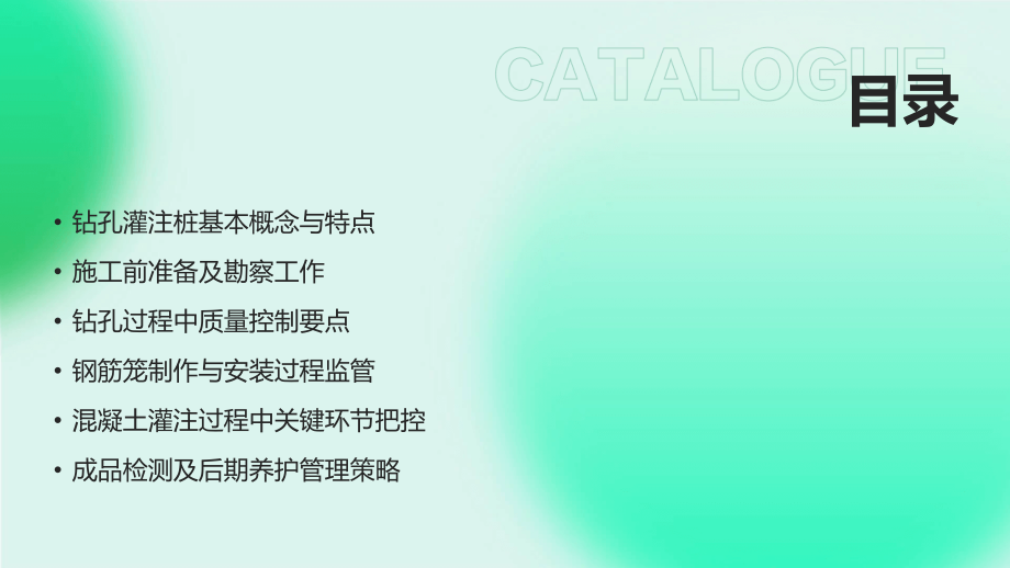 2025年钻孔灌注桩施工质量控制要点.pptx_第2页