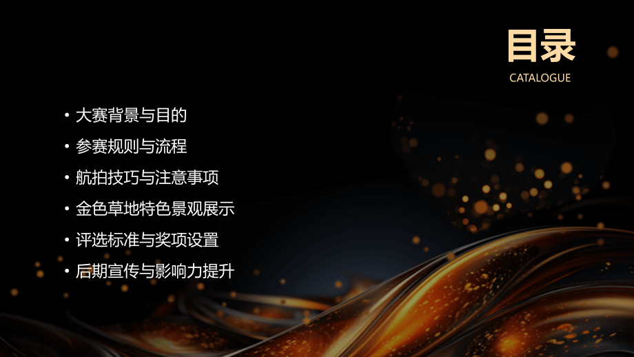 2025年金色草地无人机航拍大赛.pptx_第2页