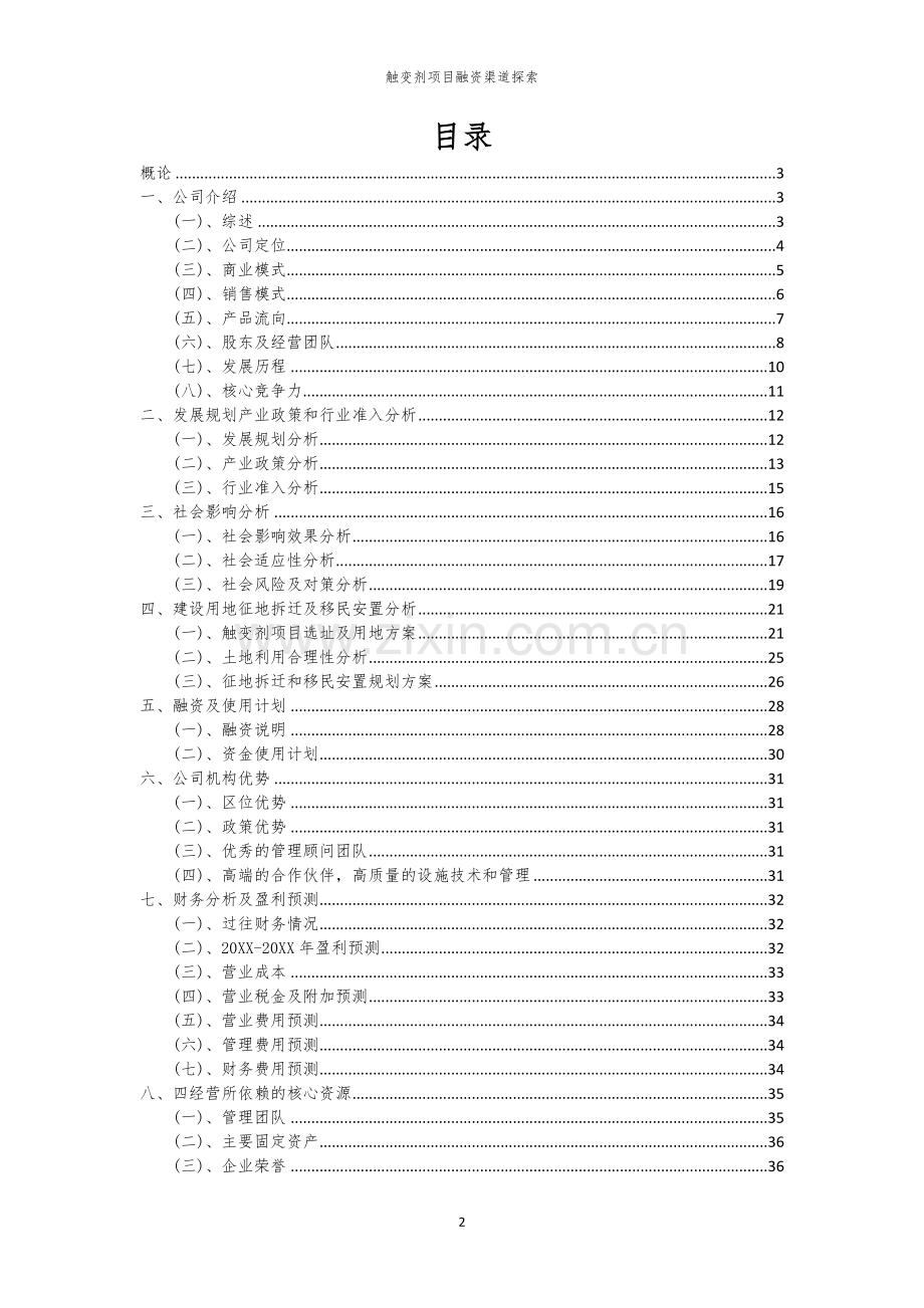 2026年触变剂项目融资渠道探索.docx_第2页