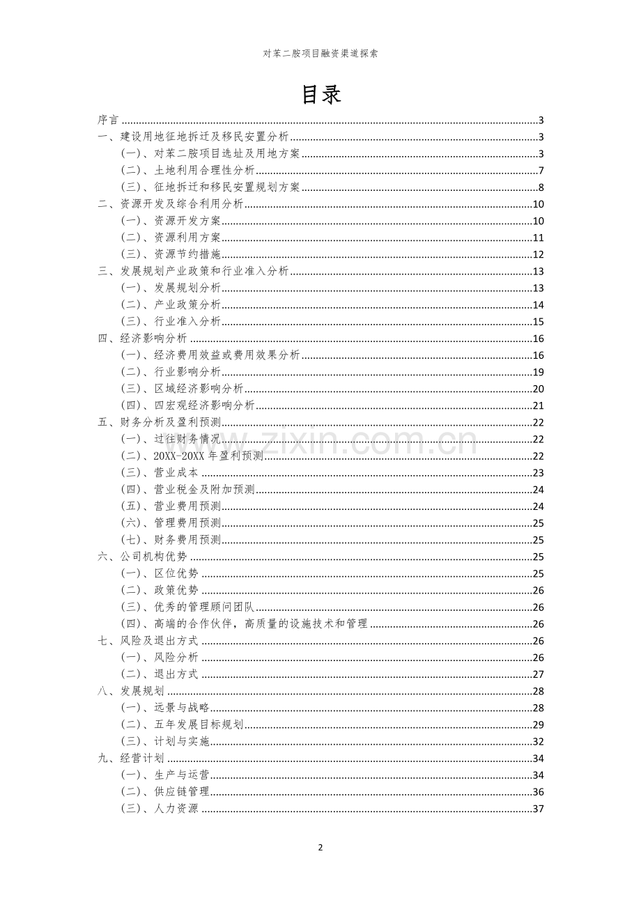 2026年对苯二胺项目融资渠道探索.docx_第2页
