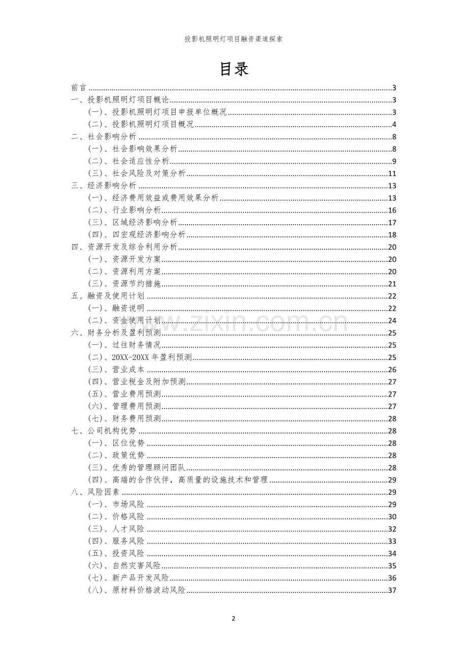 2026年投影机照明灯项目融资渠道探索.docx_第2页