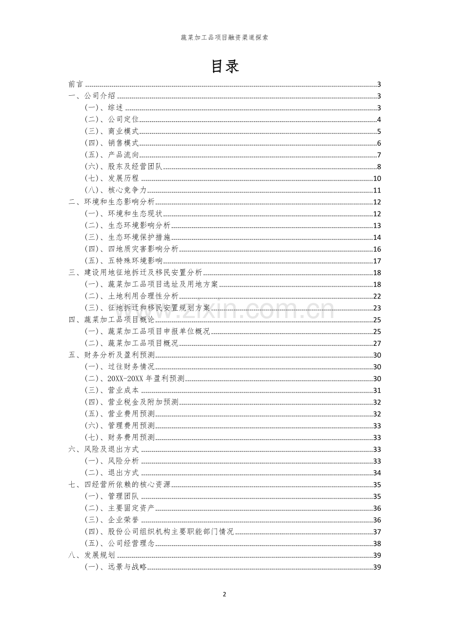 2026年蔬菜加工品项目融资渠道探索.docx_第2页