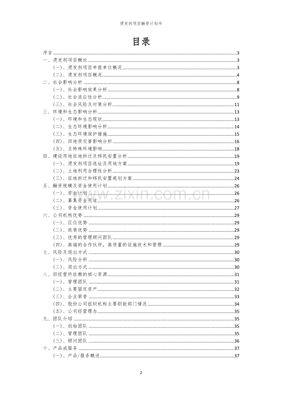 2026年烫发剂项目融资计划书.docx_第2页