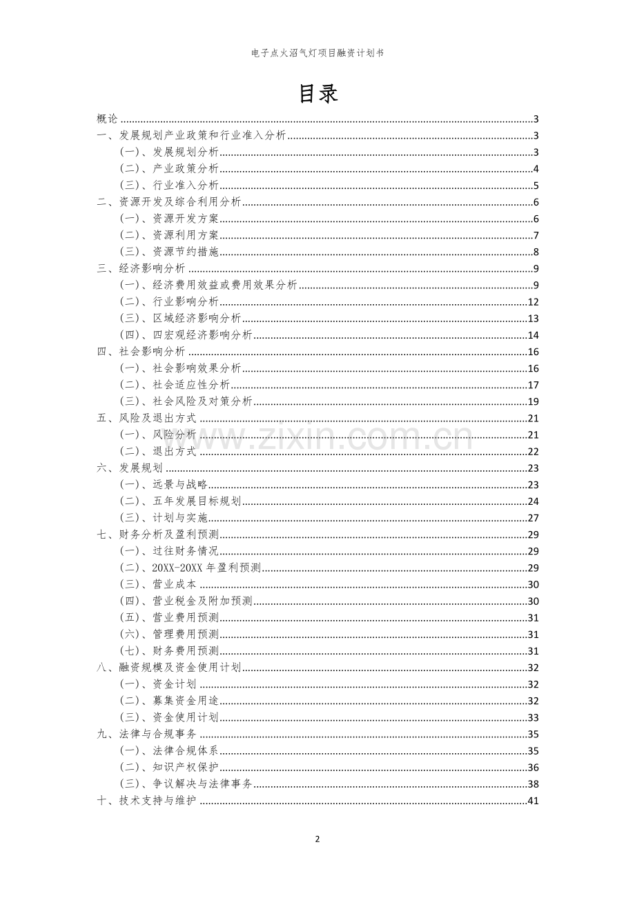 2026年电子点火沼气灯项目融资计划书.docx_第2页