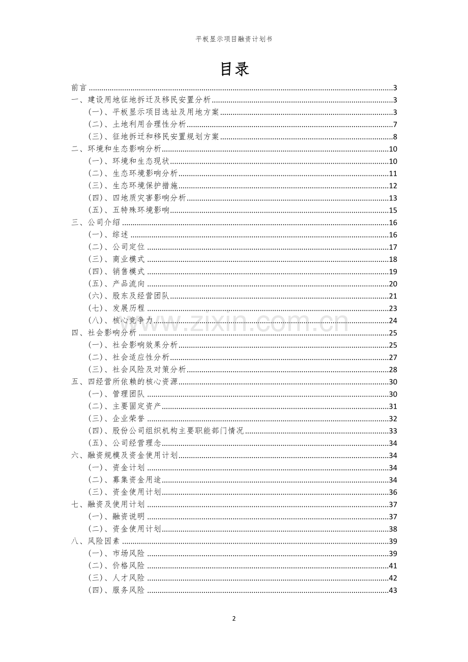 2026年平板显示项目融资计划书.docx_第2页