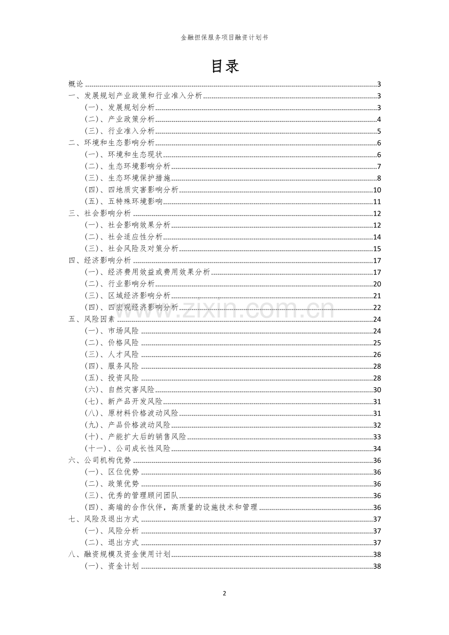 2026年金融担保服务项目融资计划书.docx_第2页
