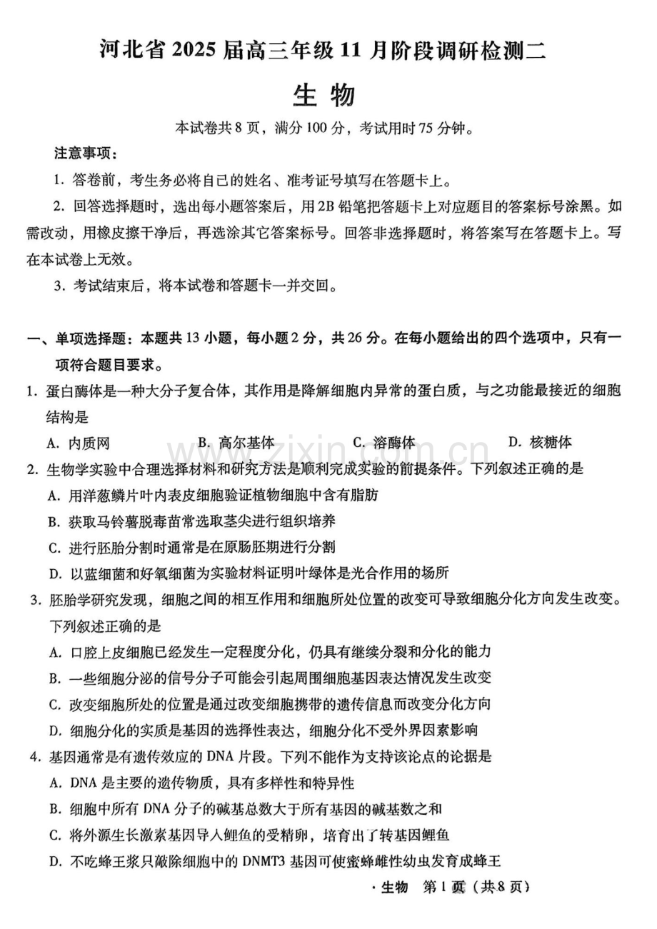 2025届河北省高三11月阶段调研检测二-生物试题.docx_第1页