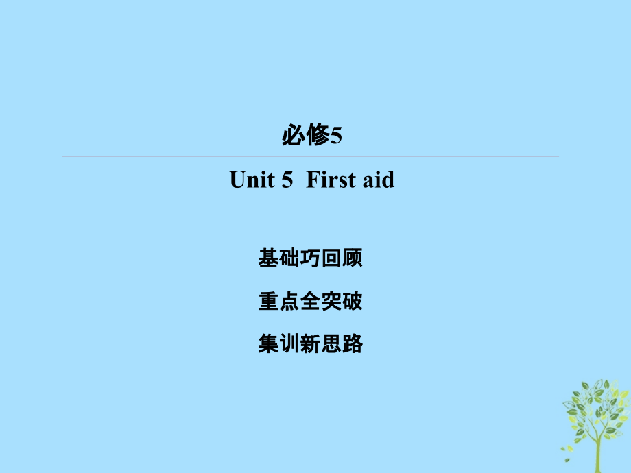 2019届高考英语一轮复习-第一部分-教材复习-Unit-5-First-aid讲义-新人教版必修.ppt_第2页