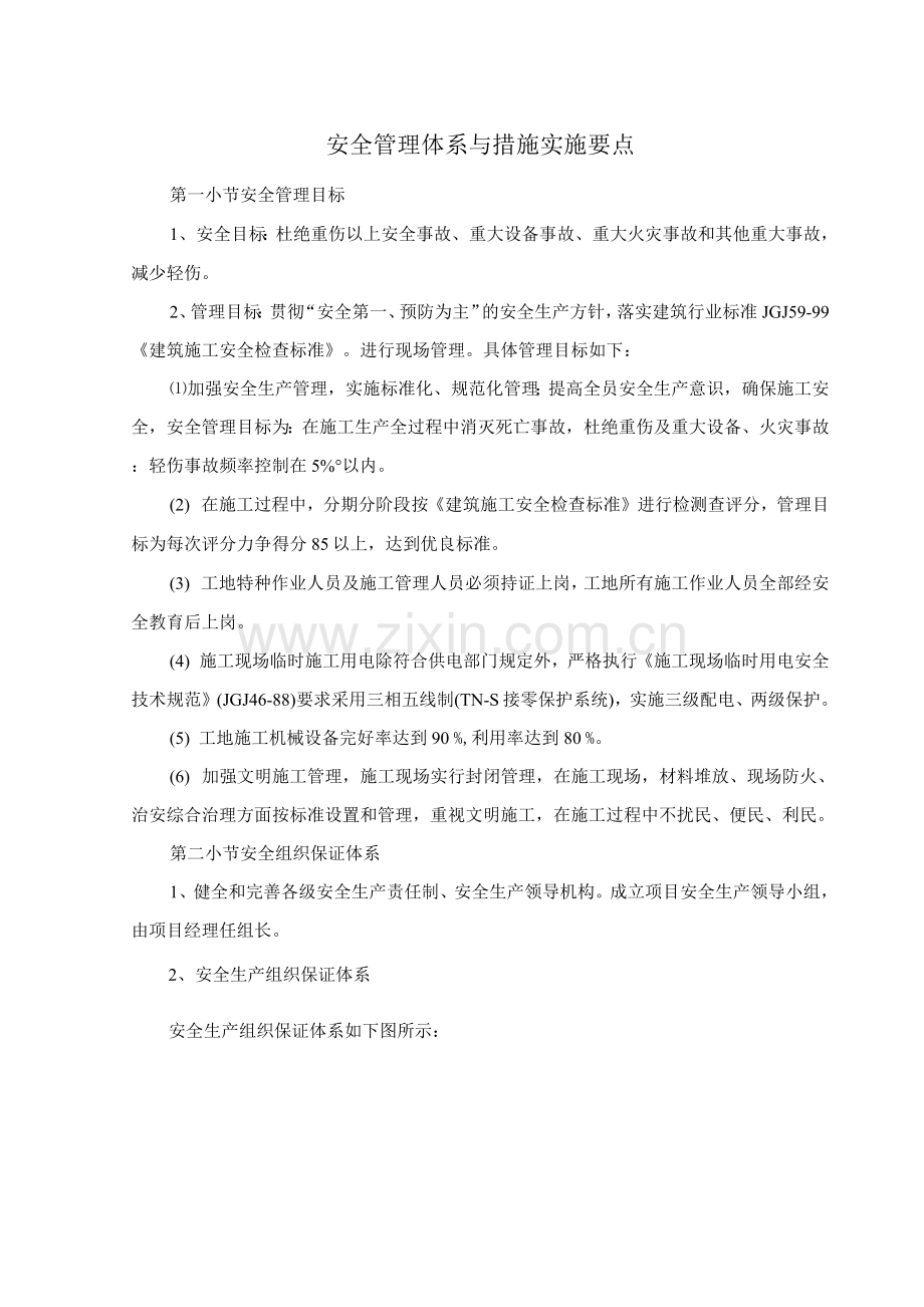 安全管理体系与措施实施要点.docx_第1页