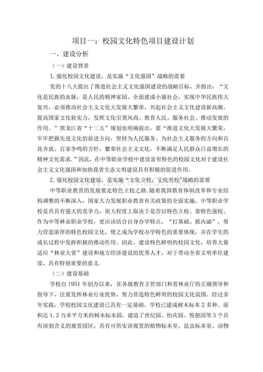 校园文化特色项目建设计划.docx_第1页