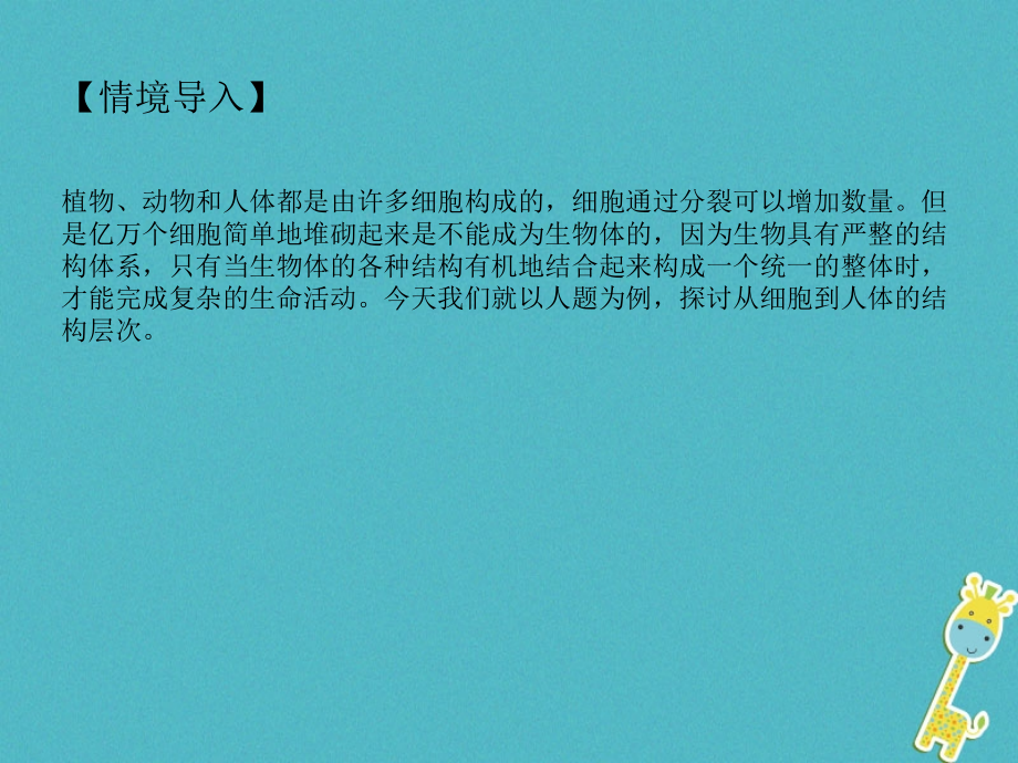 七年级生物上册2.2.2动物体的结构层次PPT课件新人教版.ppt_第2页
