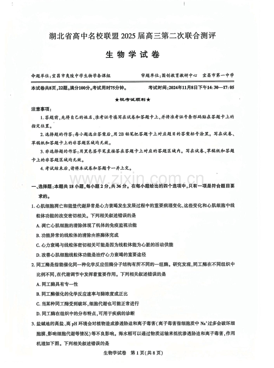 2025届湖北省名校圆创联盟高三11月第二次联测-生物（含答案）.docx_第1页