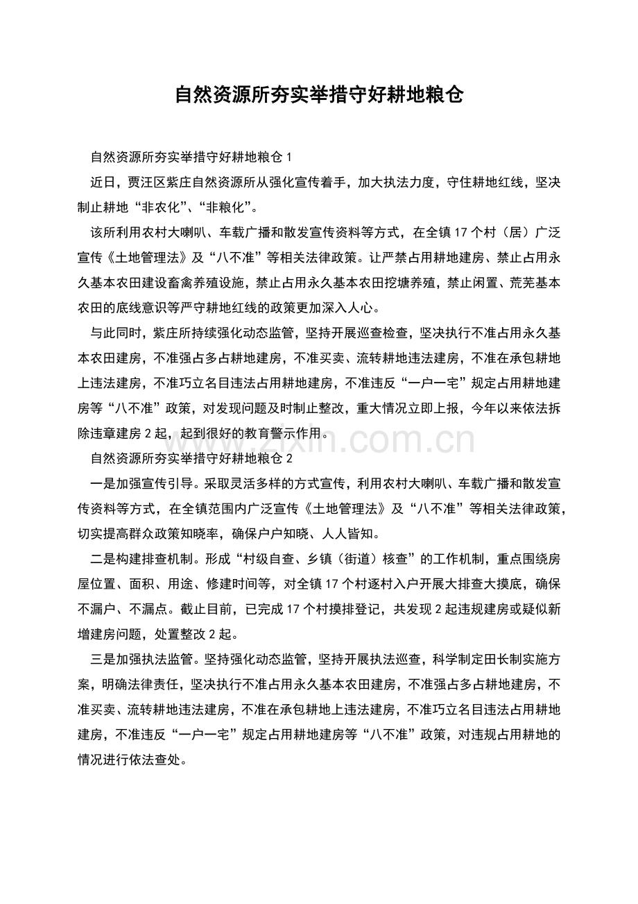 自然资源所夯实举措守好耕地粮仓.docx_第1页