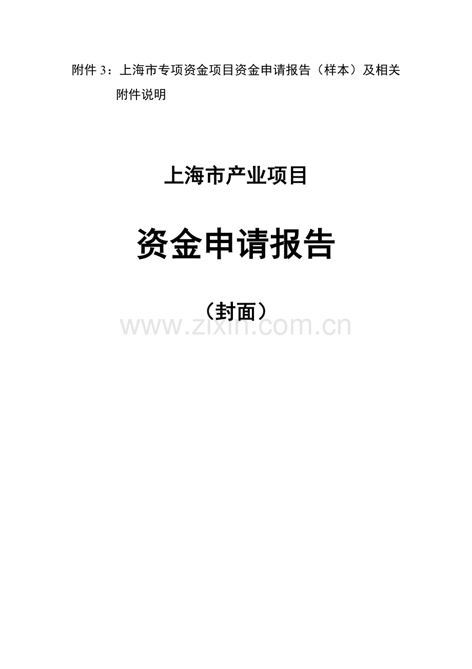 政府项目申报书样例模板.doc_第1页