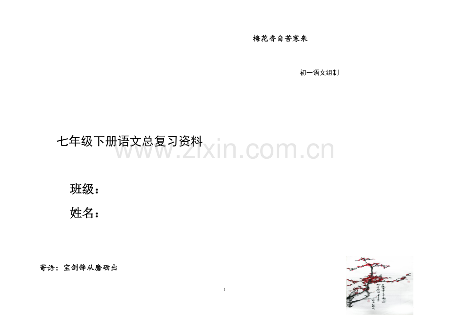 人教版七年级下册语文总复习资料(大全).doc_第1页