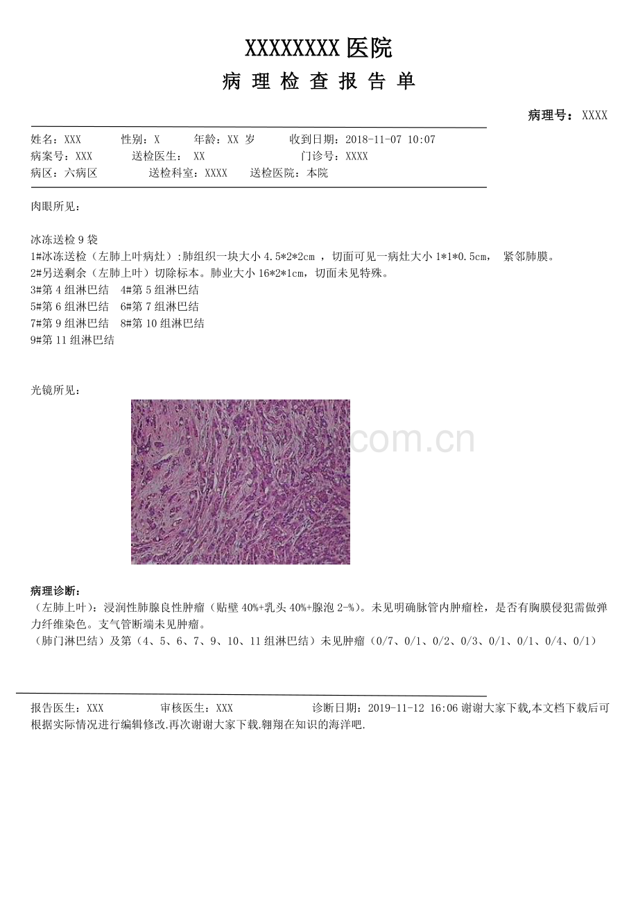 病理检查报告.doc_第1页