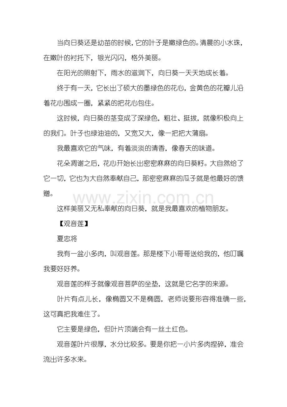 三年级作文：三年级我的植物朋友作文300字.doc_第2页