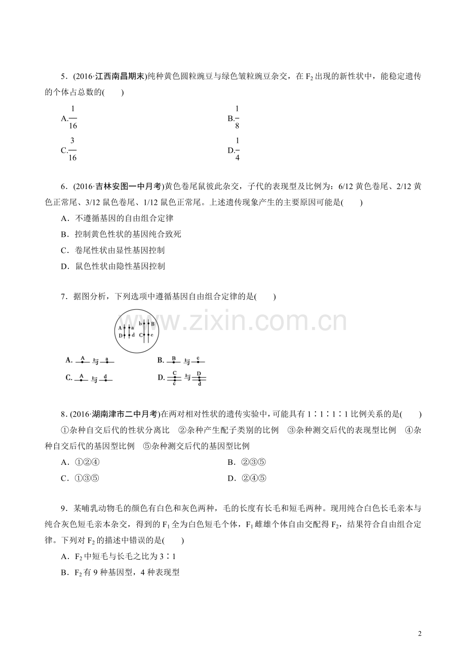 孟德尔豌豆杂交实验二习题及答案.doc_第2页