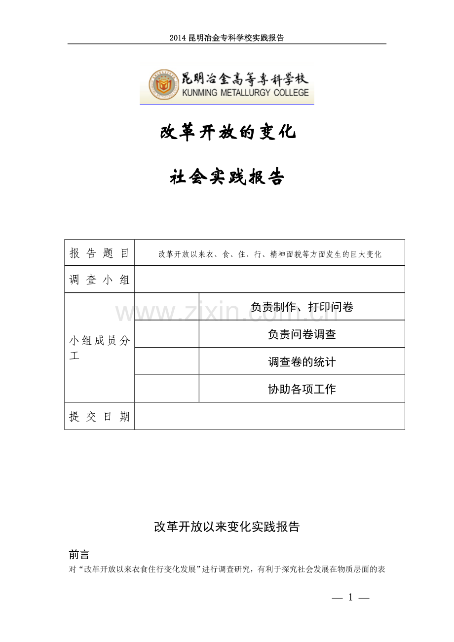 改革开放变化实践报告.doc_第1页