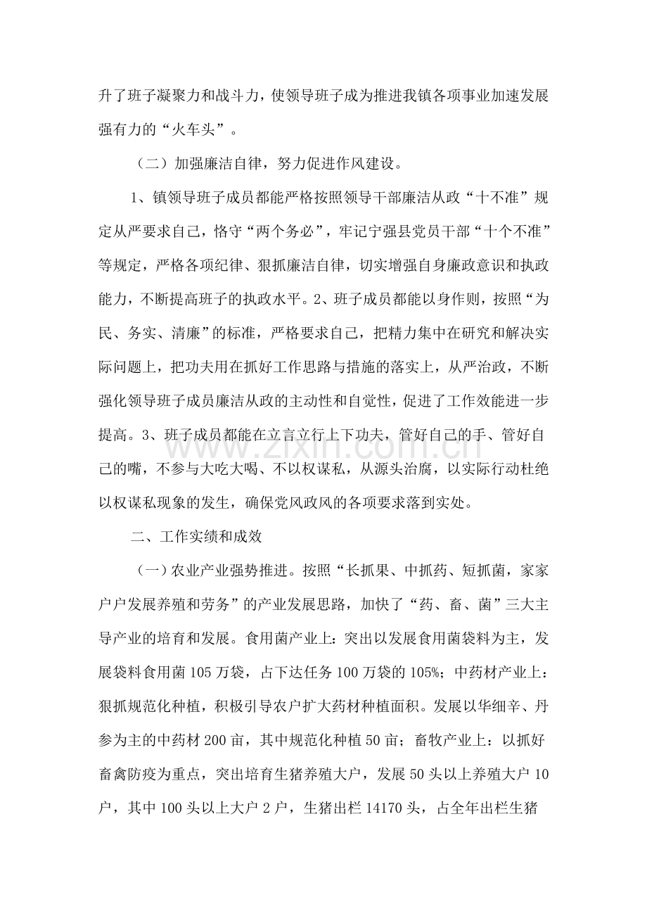 班子运行情况.doc_第2页