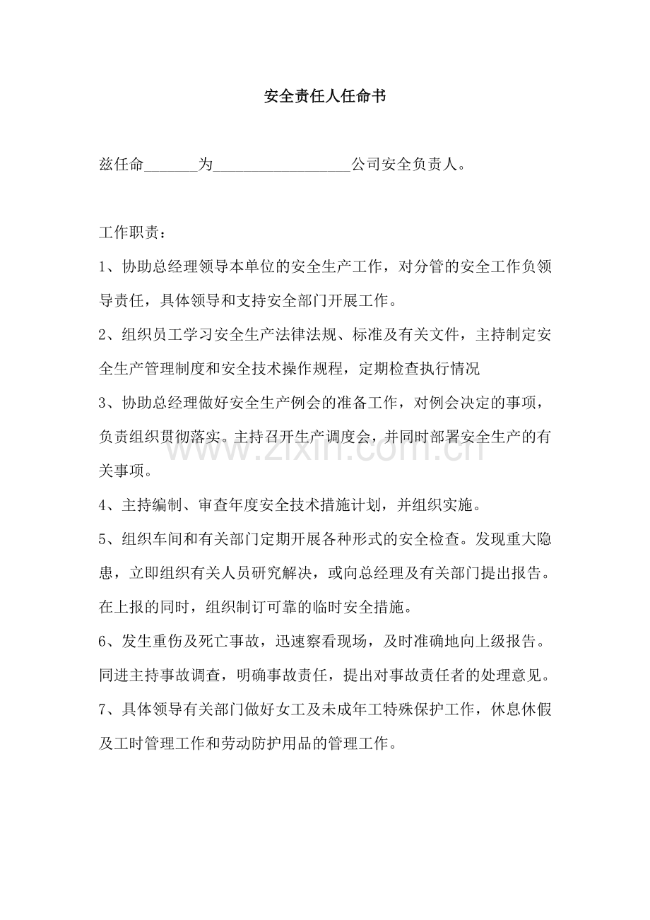 安全责任人任命书.doc_第1页