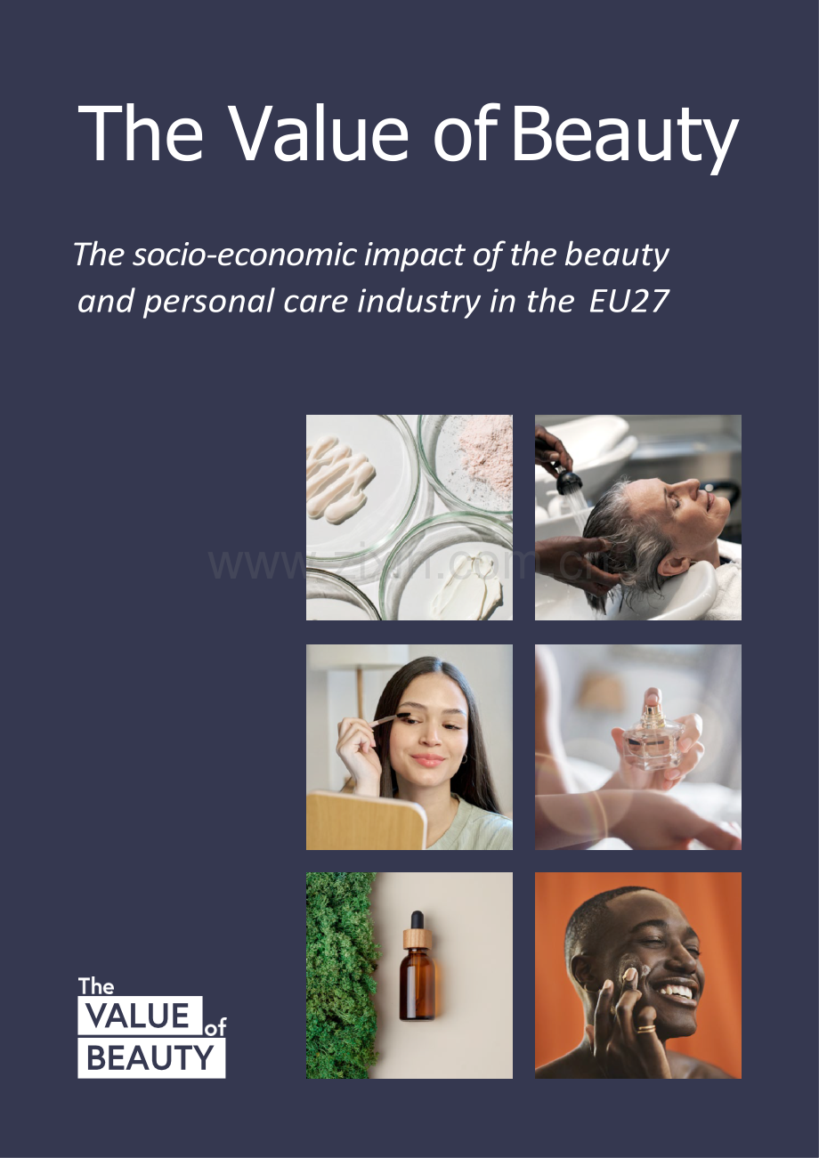 2025欧盟27国美容和个人护理行业的社会经济影响（英）.docx_第1页
