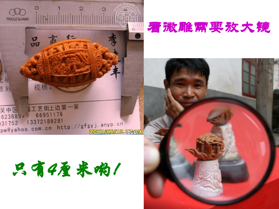 核舟记公开课优秀课件.ppt_第1页