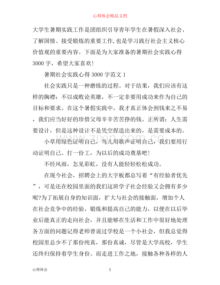暑期社会实践心得3000字3篇.docx_第1页
