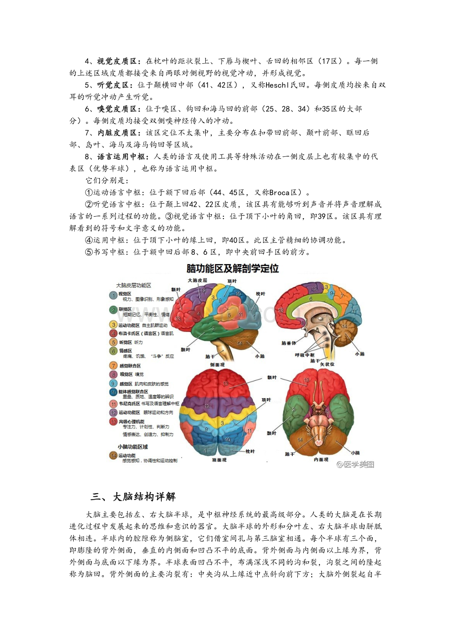 大脑结构与功能分区.doc_第2页