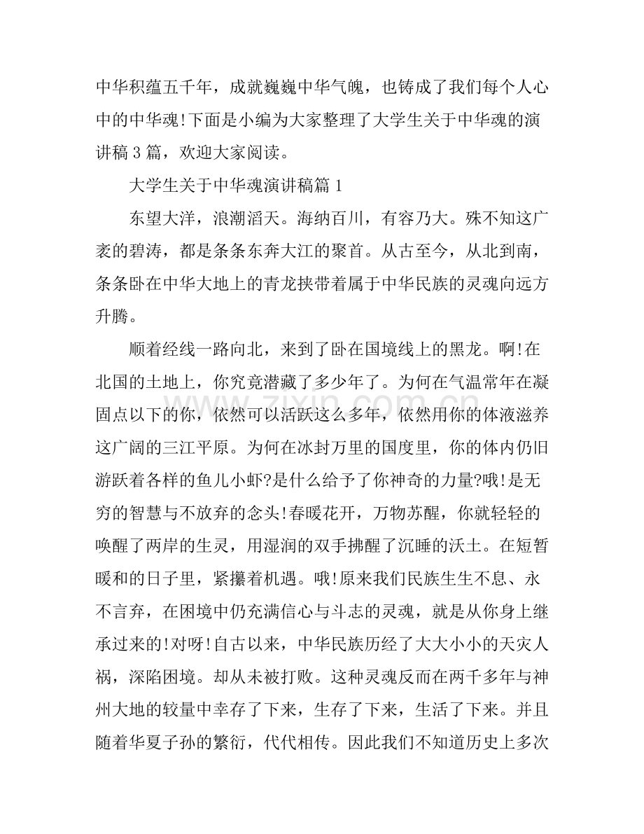 大学生关于中华魂演讲稿.docx_第1页