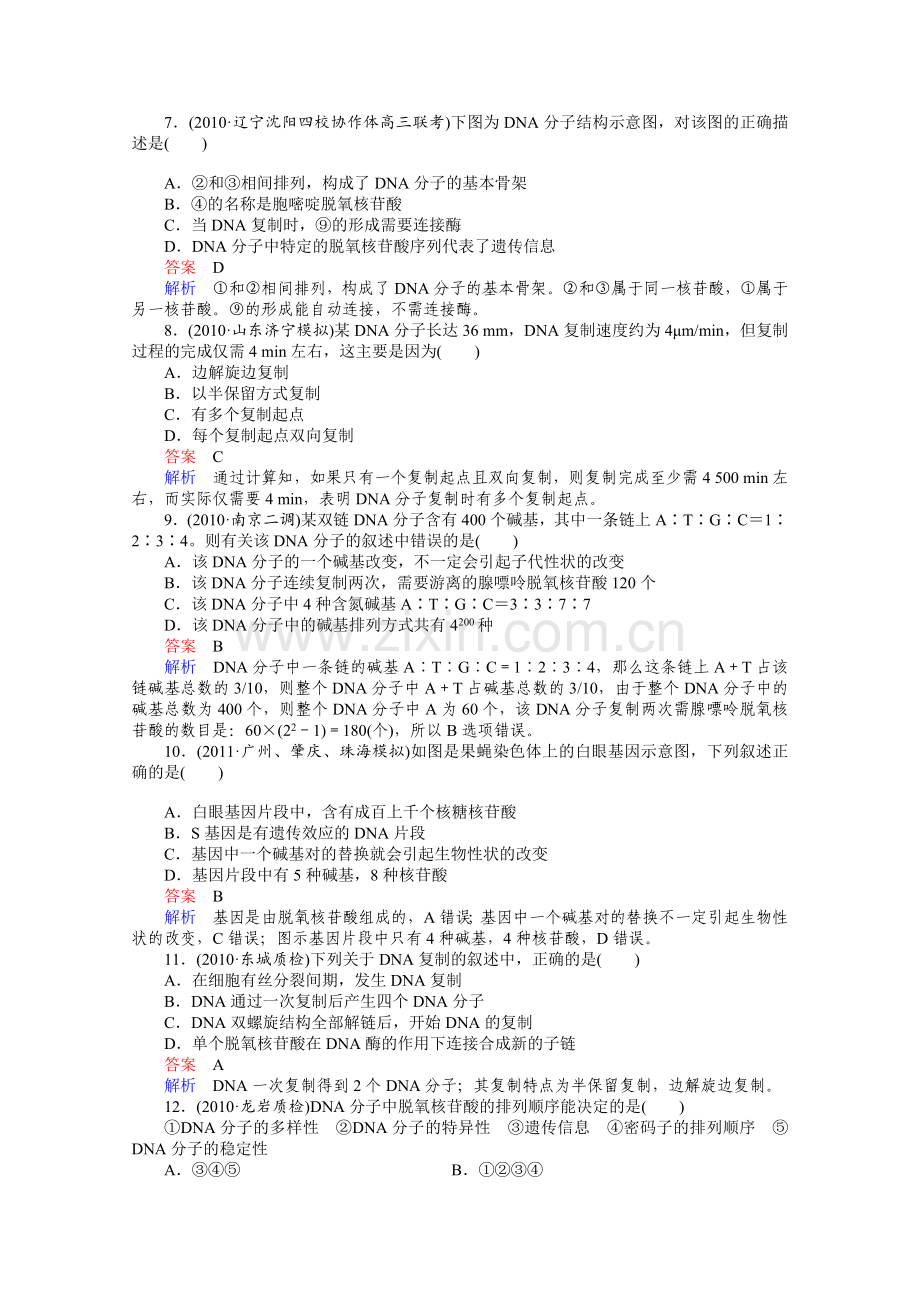 (大纲版)2012高三生物一轮复习同步辅导课后练习512DNA分子的结构和复制.doc_第2页