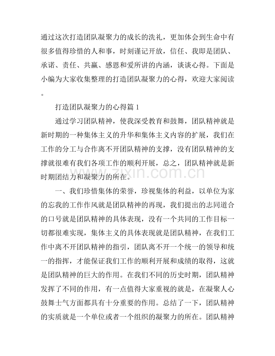 打造团队凝聚力的心得.docx_第1页