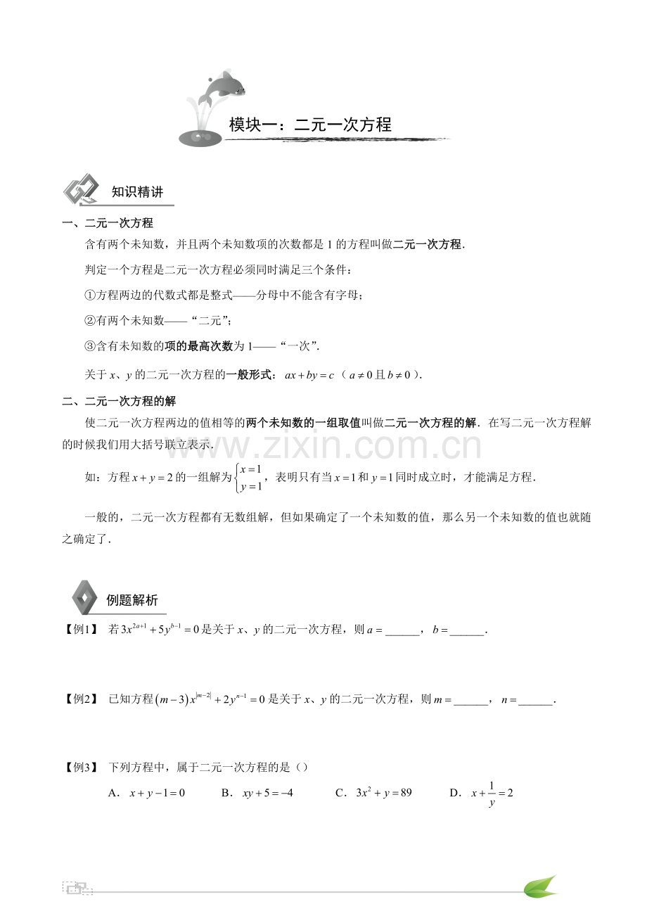 初中数学二元一次方程组.doc_第2页