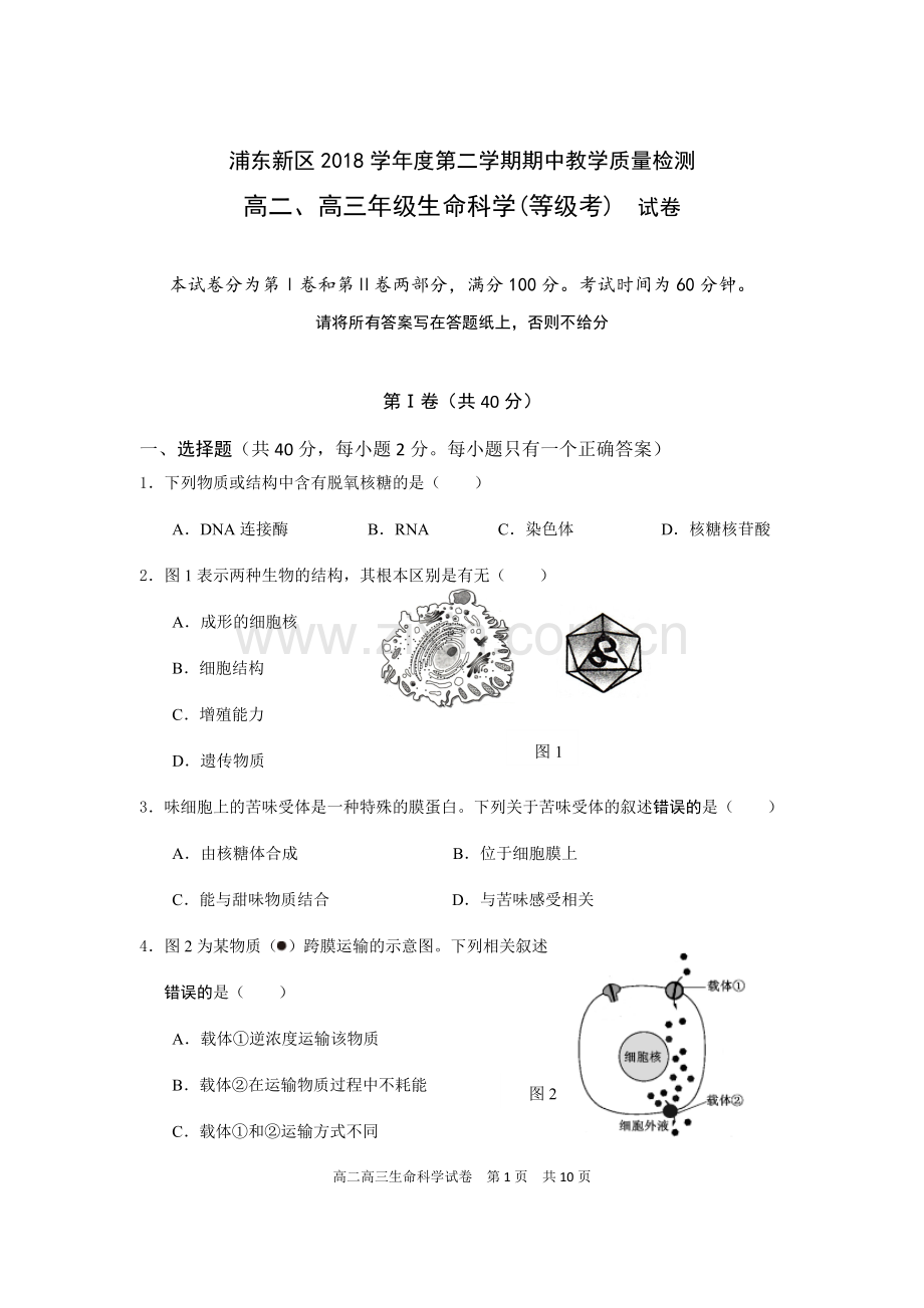 2019生物二模浦东有答案.doc_第1页