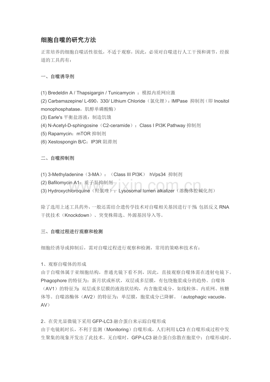 细胞自噬检测.doc_第1页