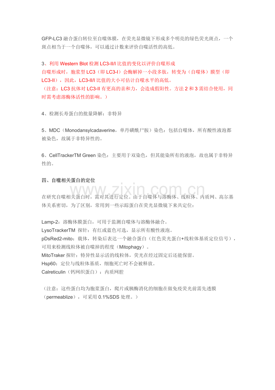 细胞自噬检测.doc_第2页