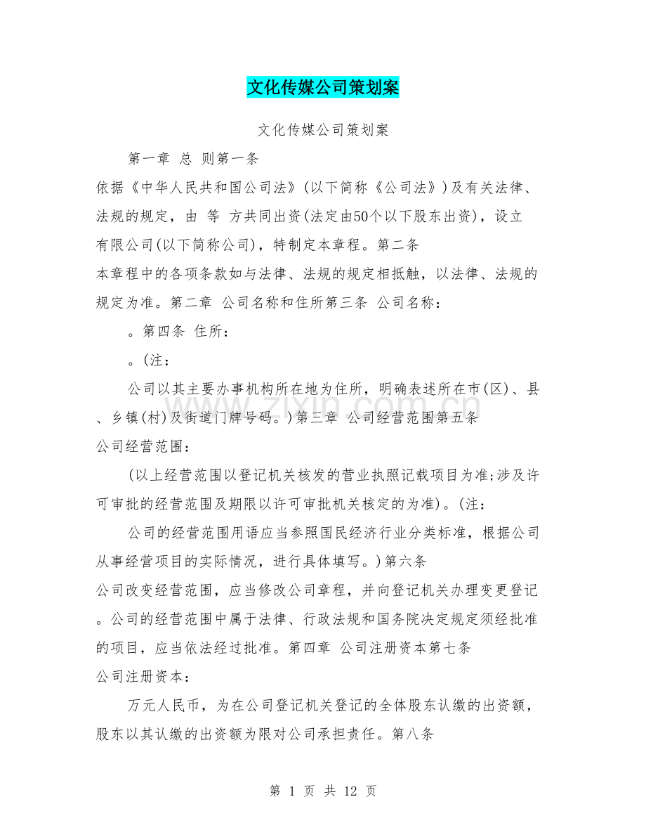 文化传媒公司策划案.doc_第1页