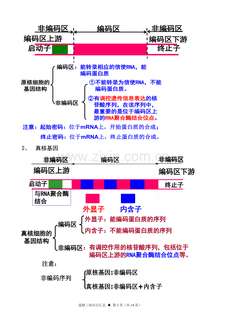 人教版生物选修三知识点.doc_第2页