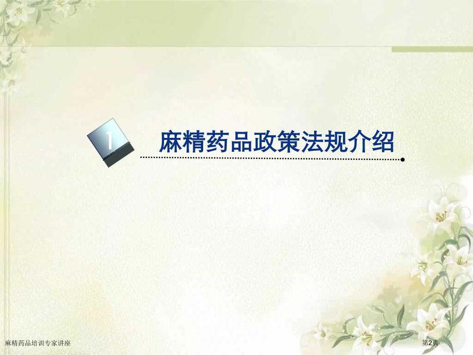 麻精药品培训.pptx_第2页