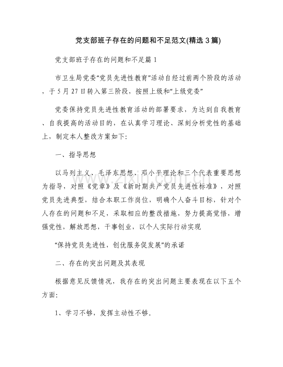 党支部班子存在的问题和不足范文(3篇).docx_第1页
